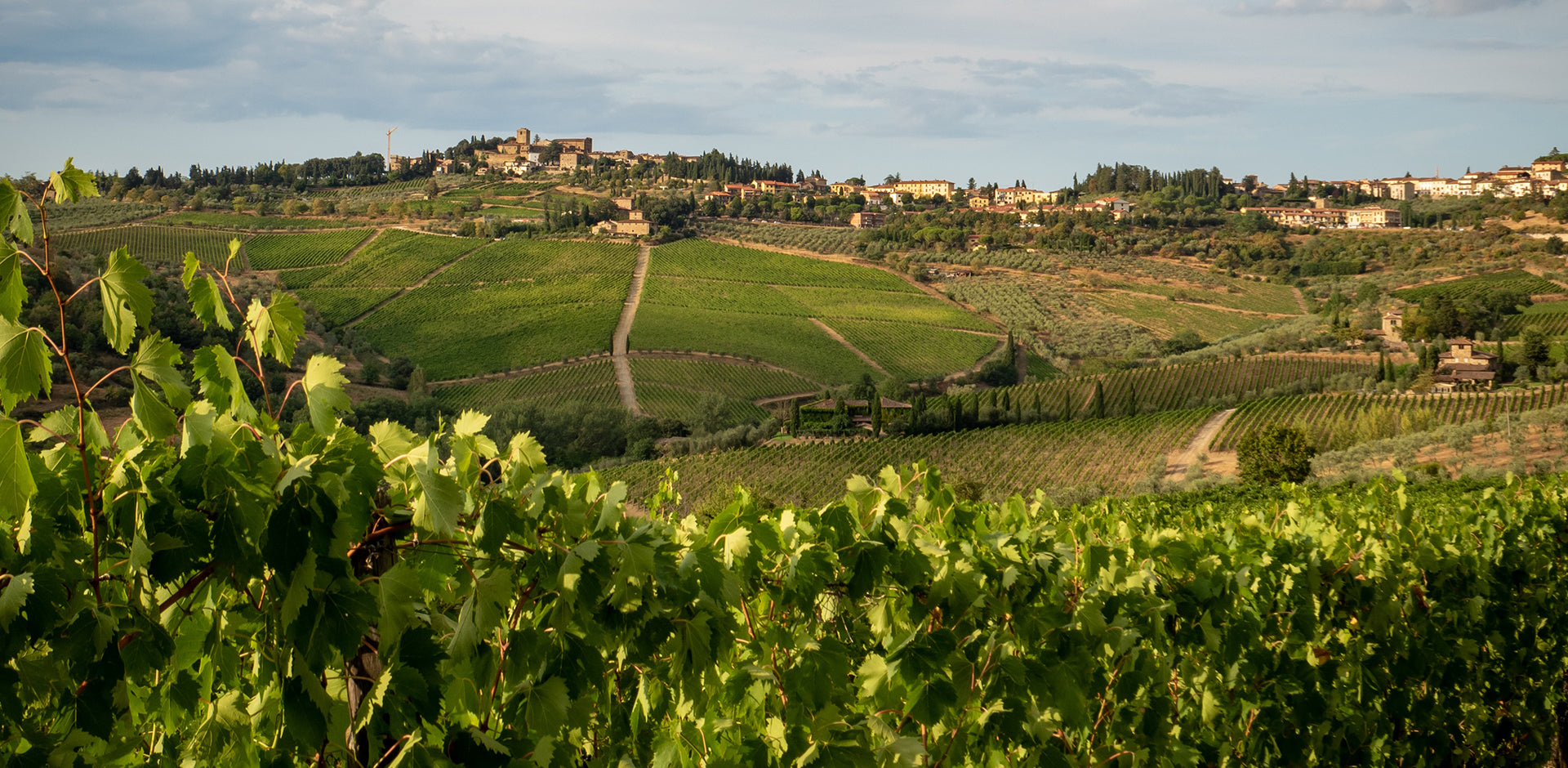 Italy – The Organic Sommelier